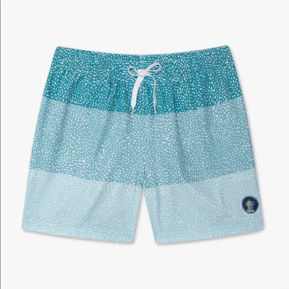 Chubbies Classic Stretch 5.5” inch Swim Trunks Men’s Medium - The Whale Sharks